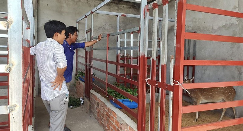 Trại nuôi hươu của anh Việt là nơi được chọn để đoàn viên, thanh niên đến tham quan học hỏi nhằm nhân rộng mô hình