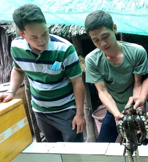 Anh Lê Tấn Triều (giữa) chia sẻ kinh nghiệm nuôi rắn ri voi với ĐVTN địa phương