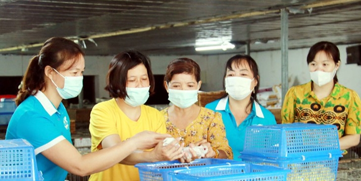 Chị Trần Thị Diệm (thứ hai từ trái sang) chia sẻ kỹ thuật chăm sóc thỏ với chị em hội viên
