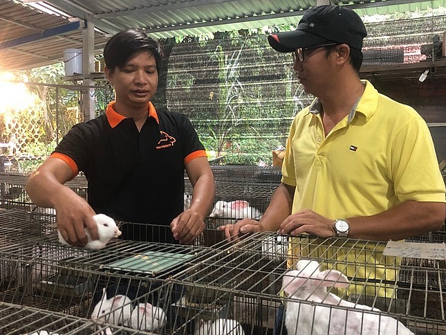 Mô hình nuôi thỏ sạch ở xã An Nhơn Tây (huyện Củ Chi) giúp nhiều thanh niên thoát nghèo, vươn lên làm giàu