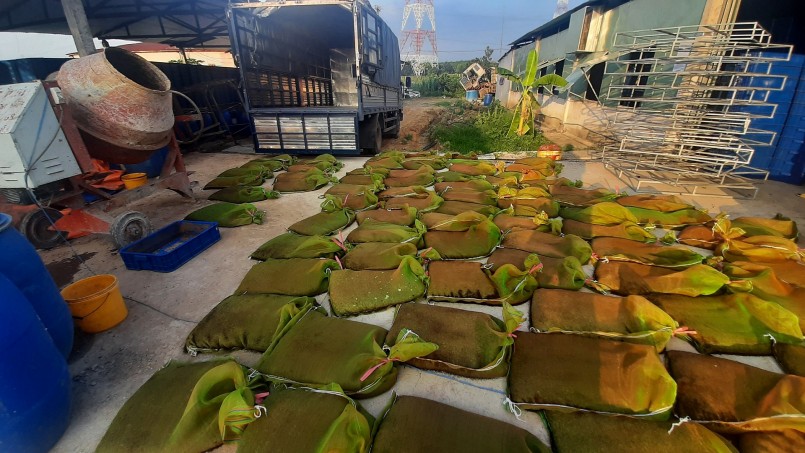 Hiện trang trại sâu mà Phong đang nuôi ở mức 15 tấn - 30 tấn ấu trùng mỗi tháng
