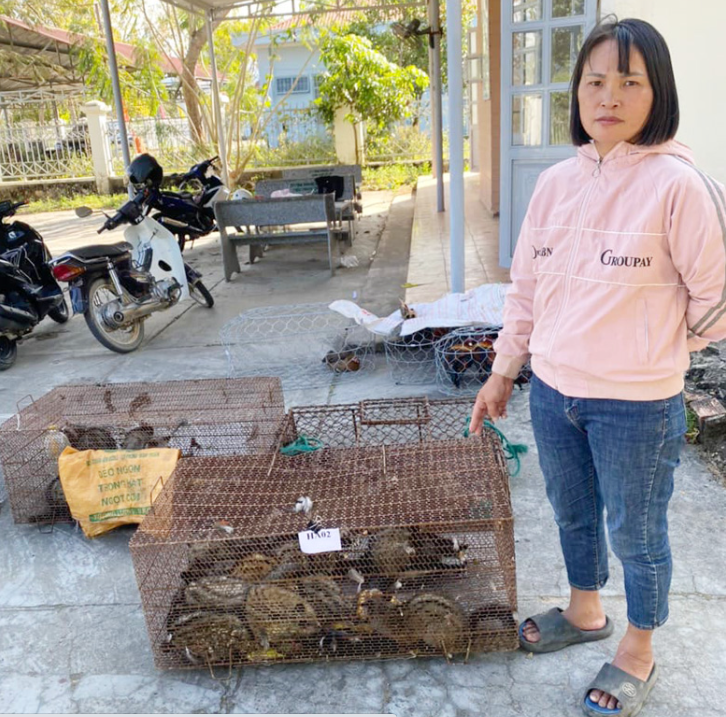Lâm Đồng: Bắt quả tang đối tượng mua bán, tàng trữ số lượng lớn động vật hoang dã