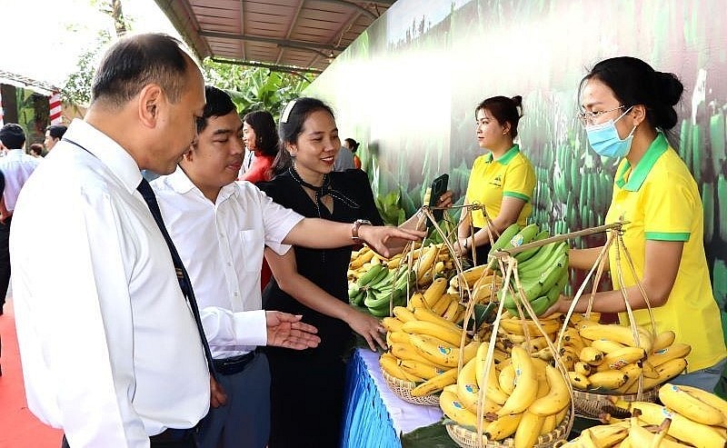 Các đại biểu tham quan gian hàng trưng bày sản phẩm chuối Đồng Nai tại buổi lễ phát động xuất khẩu.