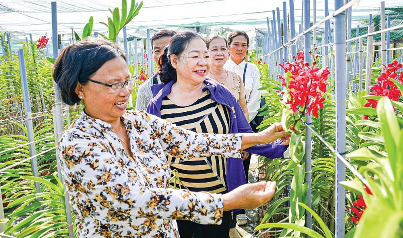 chị Đào Thị Mỹ Phương chia  sẻ kinh nghiệm trồng lan