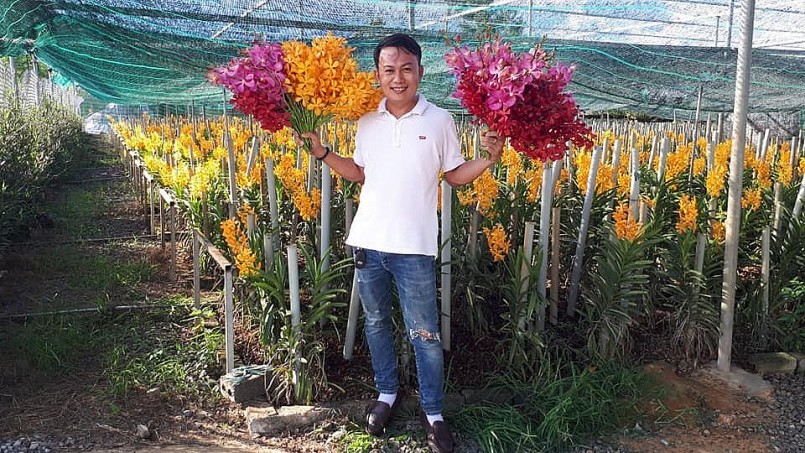 Thành phố Hồ Chí Minh Mô hình trồng lan mokara cắt cành cho nông dân vùng  đô thị
