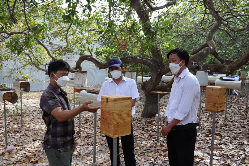 Anh Trần Đức Văn (bìa trái) giới thiệu mô hình nuôi ong dú 