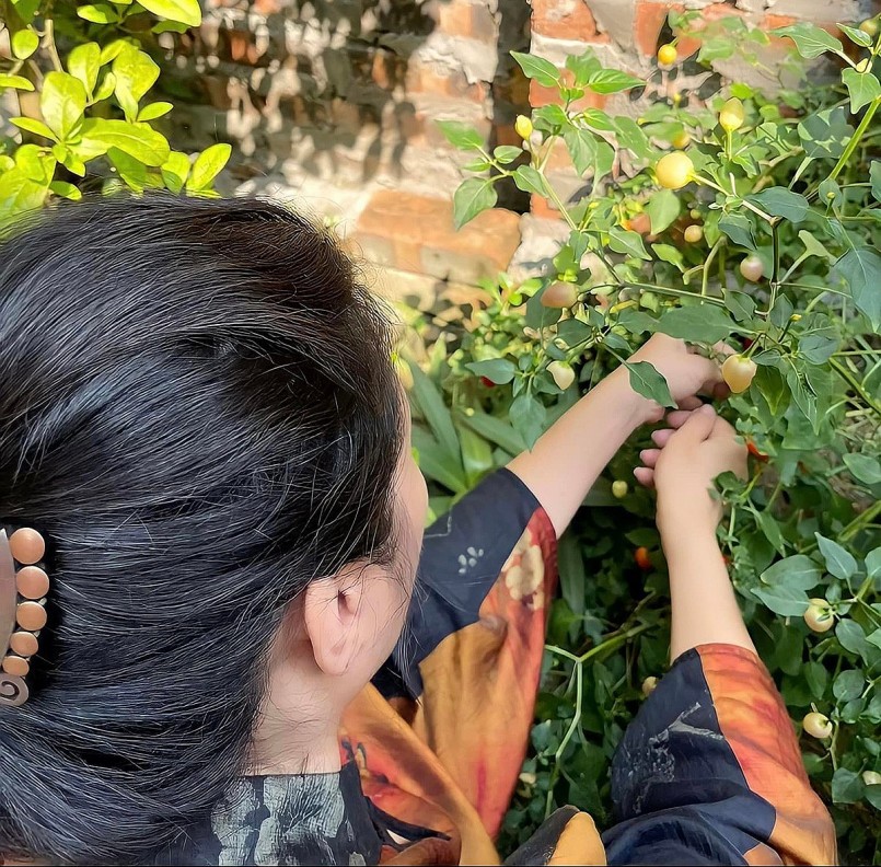 Trong khu vương hoa trái, Thanh Hiền chăm tỉa cây như một nông dân thực thụ.