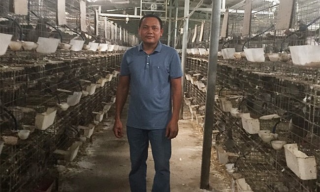 Anh Nguyễn Văn Bình trong trang trại bồ câu nghìn con nuôi bằng thảo dược.