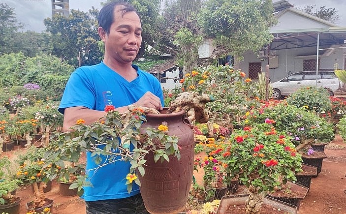 Trong đợt Tết vừa qua, ông Tuấn còn mang hoa ra các chợ hoa tại huyện Chư Pưh và TP Pleiku hơn 100 cây, được thị trường đón nhận.