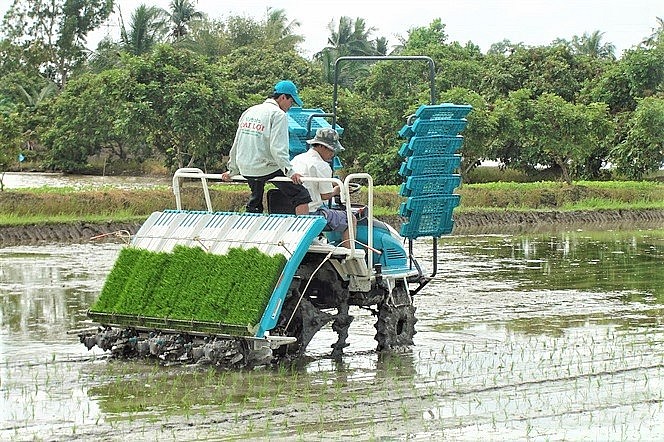 Hưng Yên tăng cường gieo mạ khay, cấy bằng máy nâng cao hiệu quả kinh tế