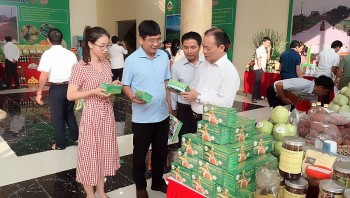 Năm 2023 Bắc Giang đẩy mạnh triển khai thực hiện Chương trình “Mỗi xã một sản phẩm”