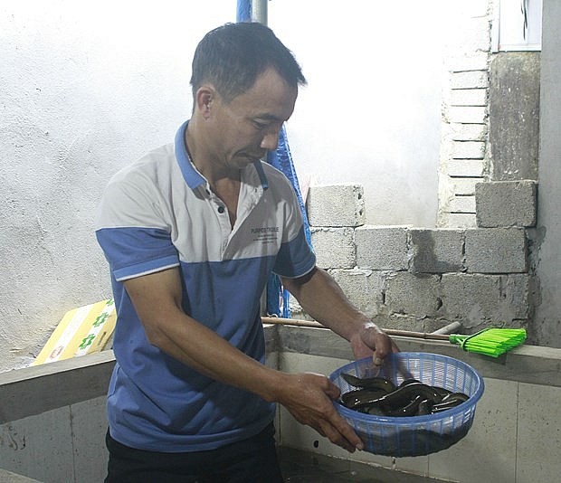 Mô hình nuôi lươn không bùn đem lại hiệu quả kinh tế cao cho gia đình anh Phạm Văn Tài