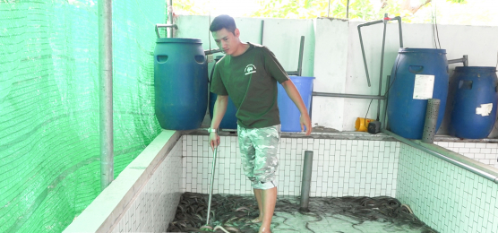 Mô hình nuôi lươn của gia đình Anh Nguyễn Ngọc Thủy