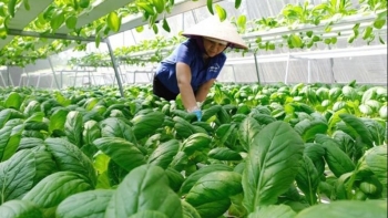 Hưng Yên nâng cao giá trị sản phẩm thực phẩm ngành nông nghiệp 2023