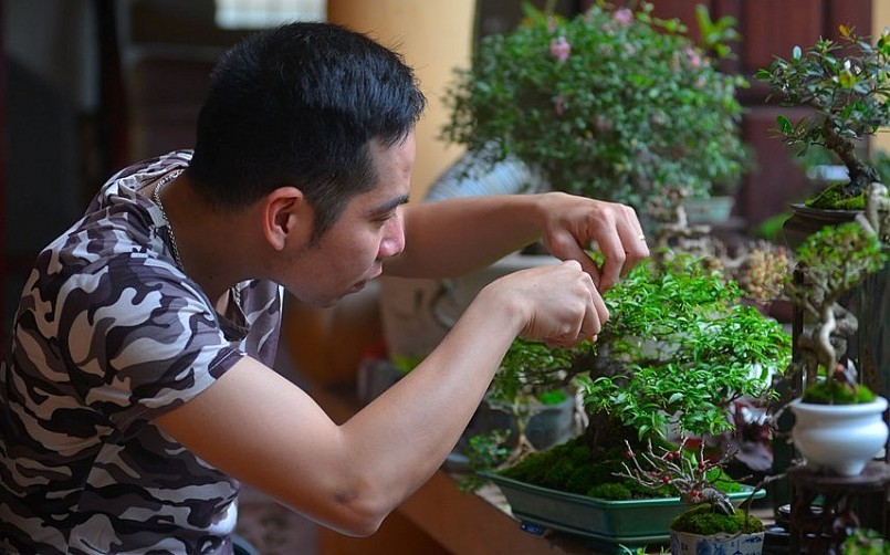 Anh Nguyễn Mạnh Huy thành công với việc biến cây dại thành tác phẩm bonsai và trở thành tiktoker nổi tiếng.