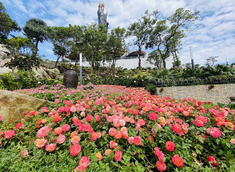 Nhiều giống hoa quý như hồng Juliet, Claude Monet, Lafon, Shell, Terra cam cá hồi… bung nở thu hút du khách.