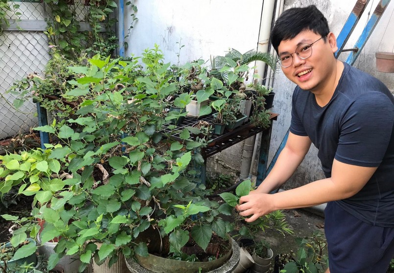 Lê Hoàng Nam tìm thấy thú vui với bonsai dâu tằm.