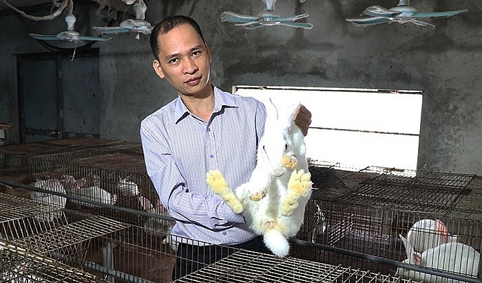 Mô hình nuôi thỏ của anh Đạt cho hiệu quả kinh tế cao nhờ đầu tư bài bản.