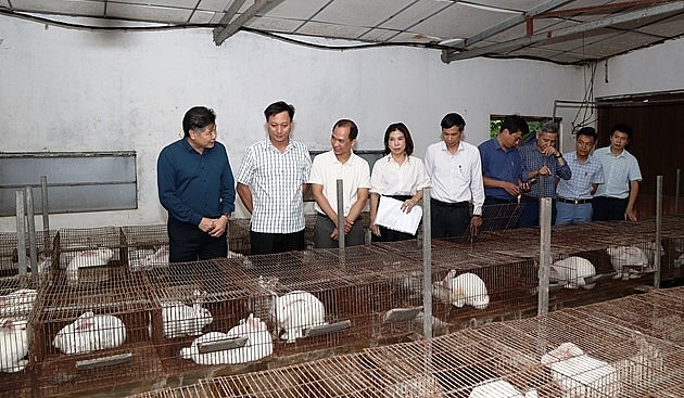 Trại nuôi thỏ của anh Đạt được các ngành chức năng đánh giá cao, là địa chỉ để nhiều nông dân tới học hỏi.