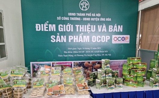 OCOP góp phần tái cơ cấu ngành nông nghiệp huyện Ứng Hòa