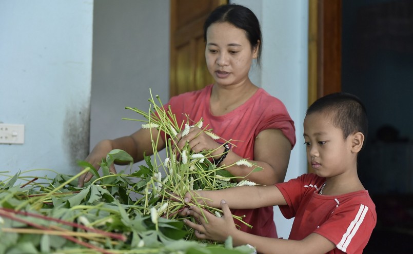 Trẻ em cũng tham gia nuôi tằm sắn.