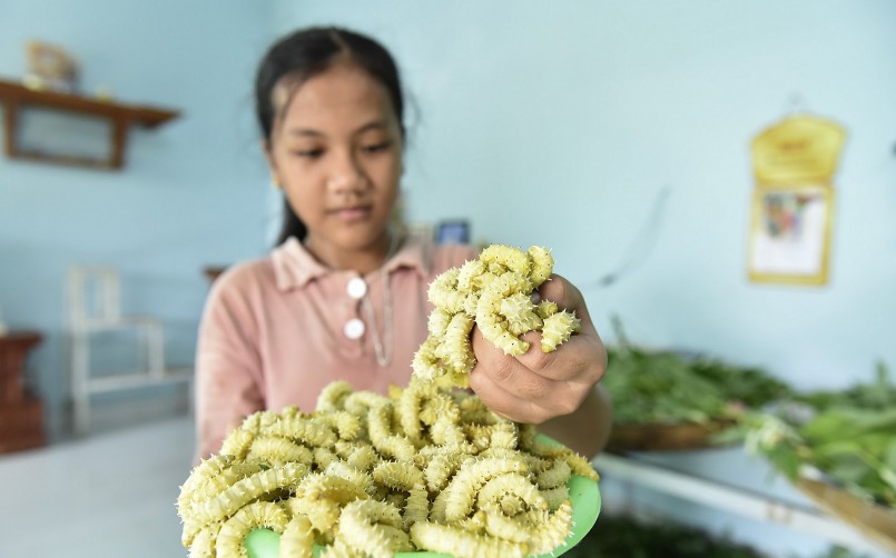 Tằm chín sẽ có thương lái đến tận nhà thu mua, sau đó mang đi các thành phố lớn như Hà Nội, Hải Phòng, Thanh Hoá... bán cho các nhà hàng. Giá tằm hiện dao động 70.000-80.000 đồng/kg.