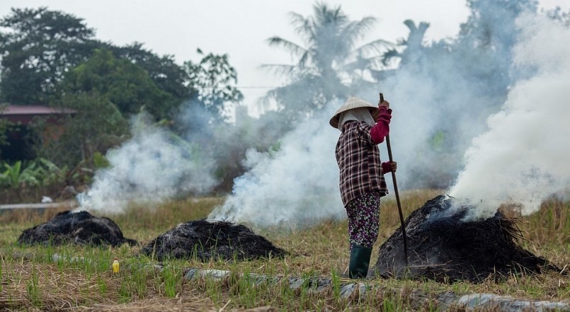 Việc đốt rơm rạ gây lãng phí lớn và làm ô nhiễm môi trường.