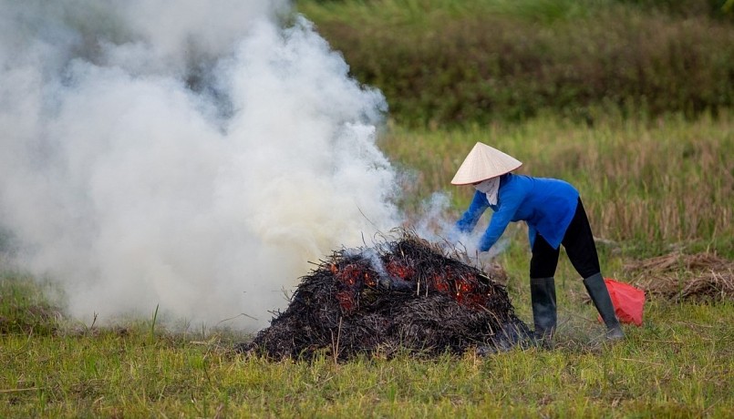 Nông dân ở nhiều địa phương vẫn có thói quen đốt rơm rạ gây ra lãng phí rất lớn.