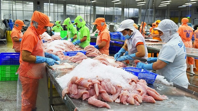 Thị trường Anh – điểm đến lạc quan của cá tra Việt năm 2023