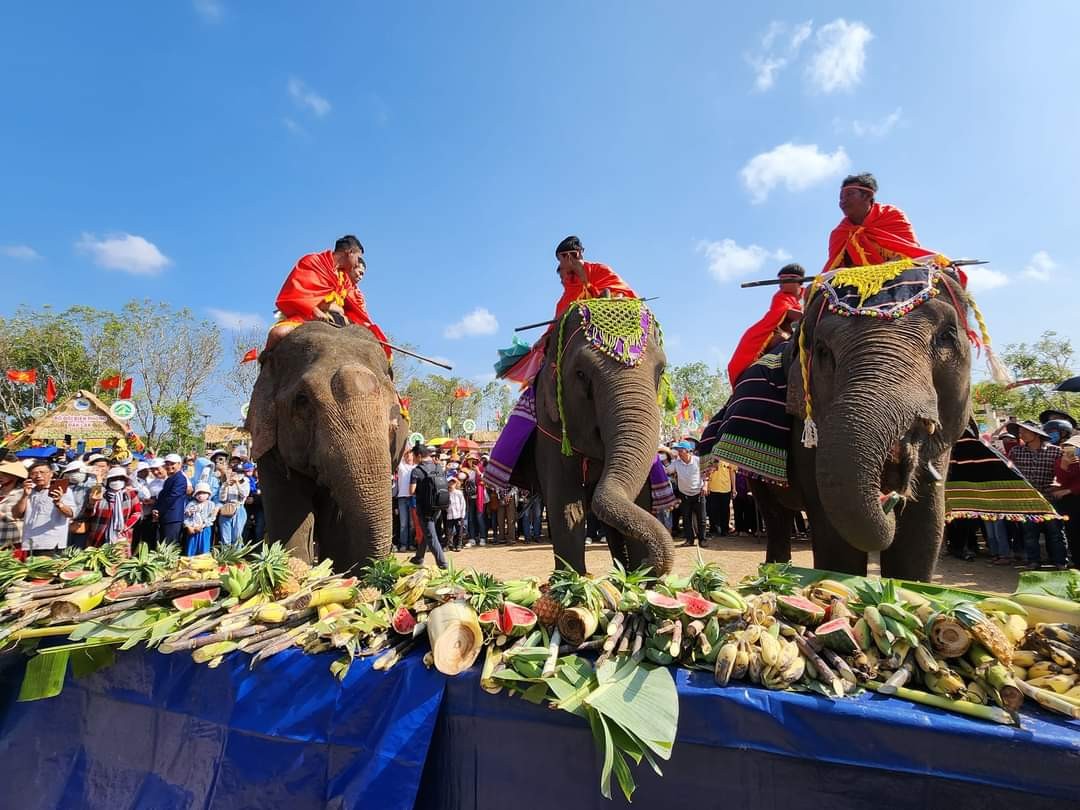 Đắk Lắk: Thích thú với “đại tiệc buffet” cho voi