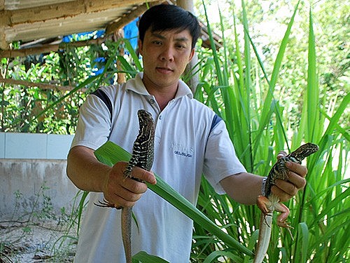 Anh Nguyễn Thanh Tuấn giới thiệu nhông giống