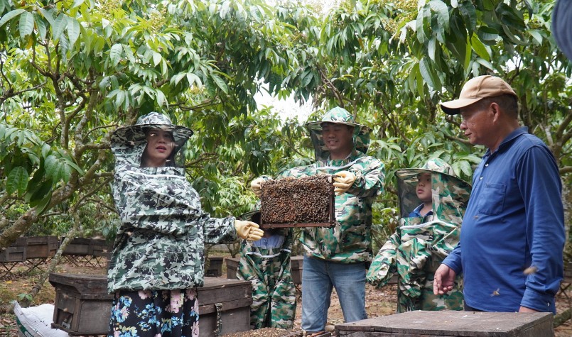 Tham gia tour du lịch vườn vải, du khách sẽ trực tiếp được trải nghiệm công việc thu hoạch sáp ong, lấy mật thủ công cùng người nông dân.
