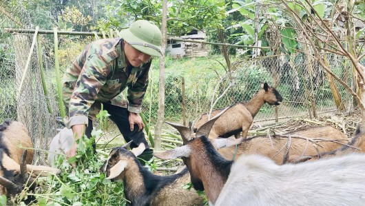 Đẩy mạnh phong trào nông dân sản xuất, kinh doanh giỏi nhằm phát triển kinh tế