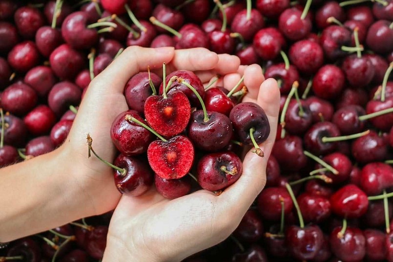 Các lợi ích của quả cherry đối với sức khỏe