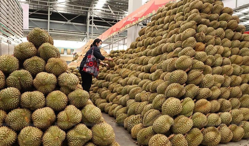 Thị trường Trung Quốc đang tạo sức hút đặc biệt với trái sầu riêng với sự cạnh tranh khốc liệt.