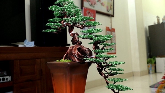 Những tuyệt phẩm bonsai không cần bón phân, tưới nước khiến vạn người mê với giá tiền triệu