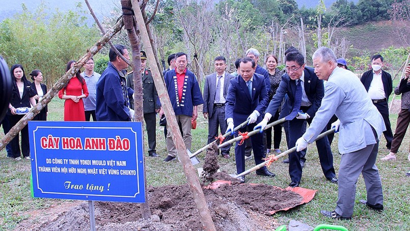 Trồng 120 cây hoa anh đào tại Khu du lịch tâm linh - sinh thái Tây Yên Tử nhân dịp kỉ niệm 50 năm thiết lập quan hệ ngoại giao Việt Nam - Nhật Bản
