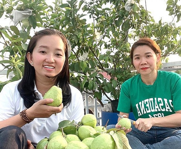 Vườn rau sạch cũng là nơi giảm stress của cả gia đình.