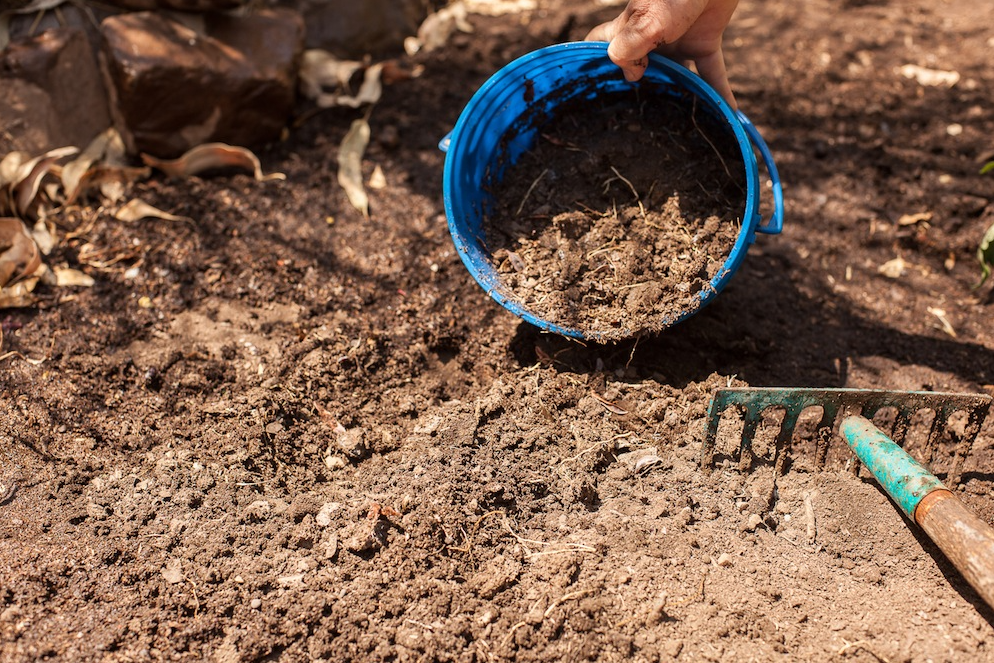 3 giai đoạn, 5 sai lầm cần chú ý khi bắt đầu trồng rau thùng xốp