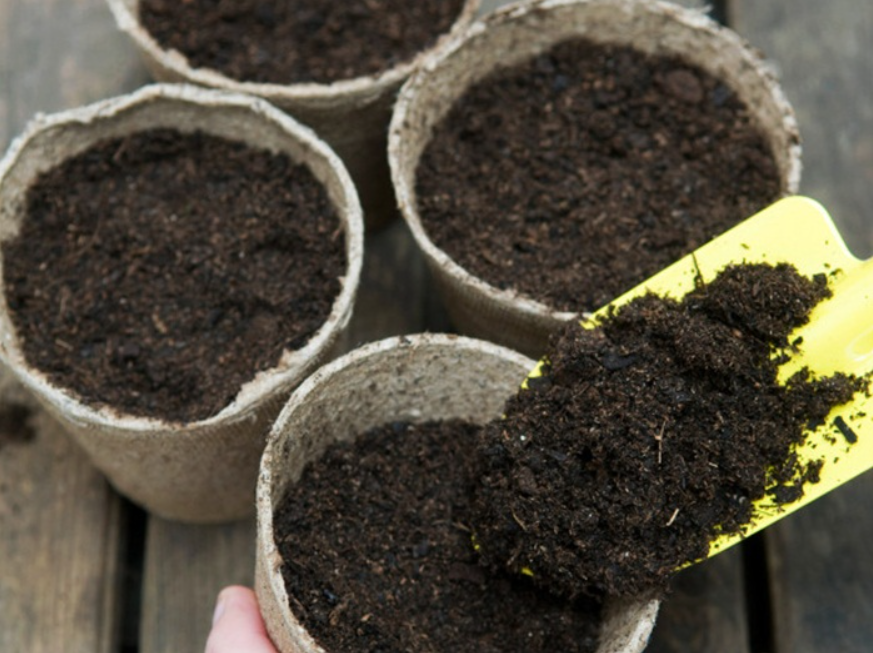 3 giai đoạn, 5 sai lầm cần chú ý khi bắt đầu trồng rau thùng xốp