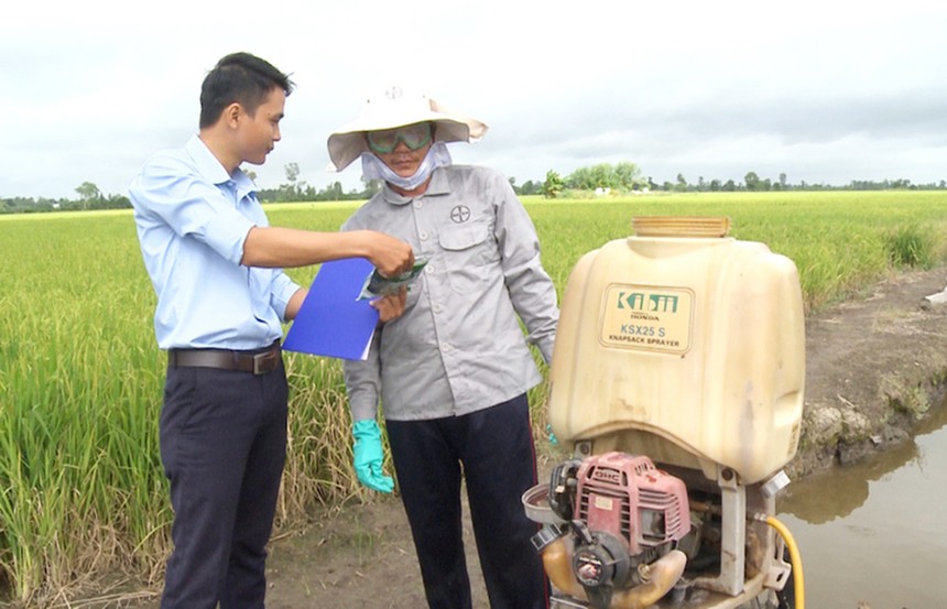 Tập huấn sử dụng thuốc bảo vệ thực vật, nâng cao kiến thức cho cán bộ, nông dân Nam Định