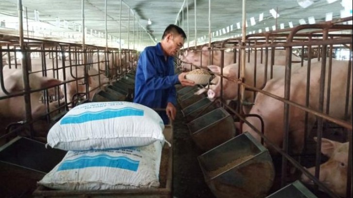 Nhập khẩu thức ăn gia súc 2 tháng đầu năm tăng 18,5%