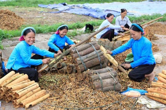 Quảng Ninh: Tập trung nguồn lực phát triển kinh tế xã hội vùng khó khăn