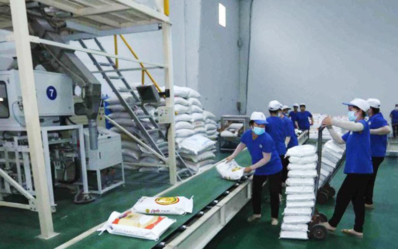 doanh nghiệp xuất khẩu gạo Việt Nam cần sớm chủ động