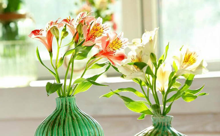 3 loại cây “hoa nở người héo”, trong nhà nếu đang trồng nên dọn ngay kẻo thiệt thân
