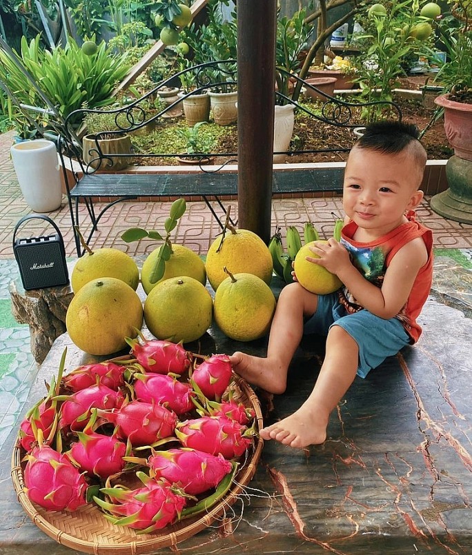 Ông Thuận thử trồng nhiều loại khác nhau, loại cây nào ông Thuận trồng cũng đều cho ra hoa thơm trái ngọt. 