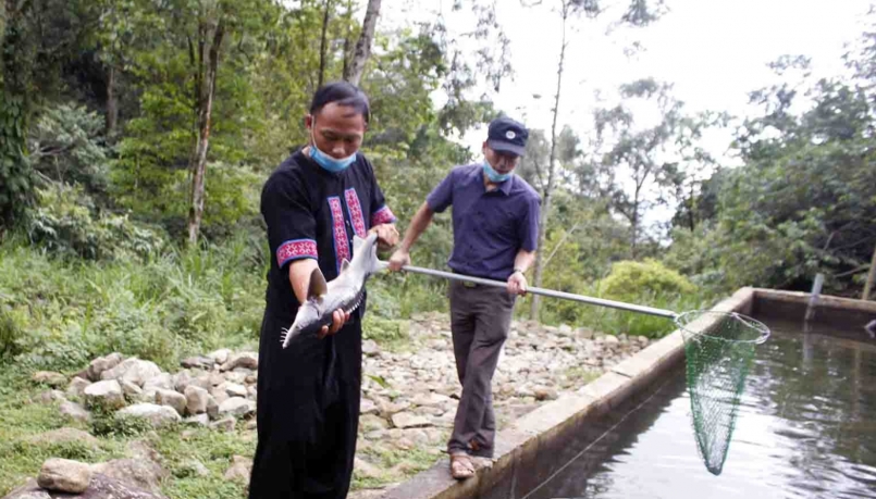 Người dân xã Sin Suối Hồ (huyện Phong Thổ) khai thác nguồn nước lạnh nuôi cá tầm