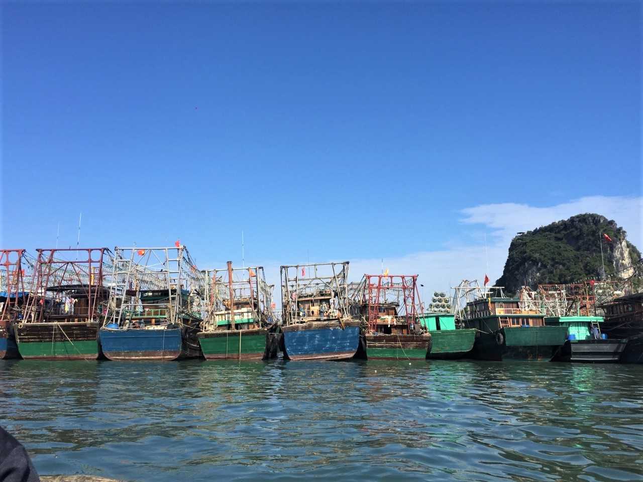 Quảng Ninh: Khắc phục tình trạng khai thác thủy hải sản bất hợp pháp