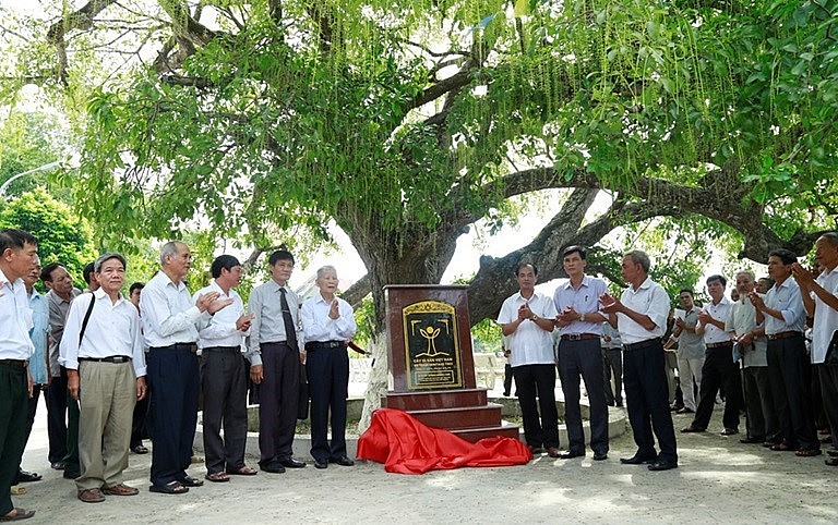 Các nhà khoa học thuộc Hội Bảo vệ Thiên nhiên và Môi trường Việt Nam cùng đại diện chính quyền và nhân dân xã Sơn Đông (Lập Thạch) gắn bia cho cây Lộc vừng được công nhận là Cây di sản Việt Nam.