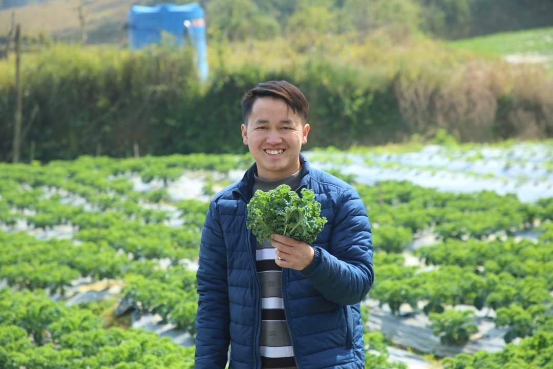 Anh Giàng Quáng Tiền bên vườn rau cải Kale